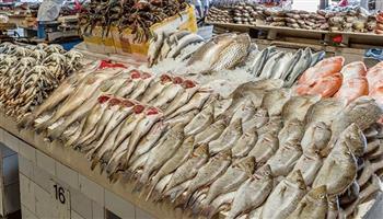 أسعار الأسماك في مصر اليوم الخميس 24-2-2022