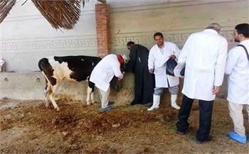 "بيطري الغربية" تحصين 181 ألف رأس من الماشية ضد الأمراض الوبائية