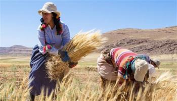 تونس تؤمن احتياجاتها من القمح حتى مايو المقبل