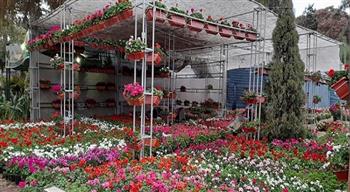 رئيس «الإرشاد الزراعي» يتفقد معرض زهور الربيع قبل ساعات من افتتاحه