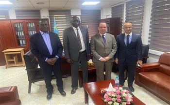 مصر وجنوب السودان يبحثان سبل التعاون في مجال الطيران المدني 