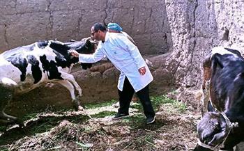 تحصين 195.5 ألف رأس ماشية ضد الجلد العقدي والجدري بالشرقية