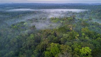 الحرارة وحرائق الغابات في منطقة "الأمازون" الكولومبية تبلغ مستويات قياسية