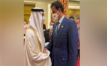 أمير قطر يلتقي ولى عهد محمد بن زايد في الصين