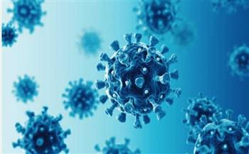   المغرب تسجل 1202 إصابة جديدة بفيروس كورونا