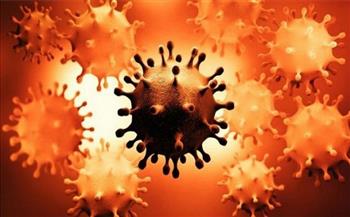 تركيا تسجل 87 ألف و934 إصابة جديدة بفيروس كورونا