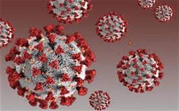 اليابان تسجل أكثر من 31 ألف إصابة جديدة بفيروس "كورونا"