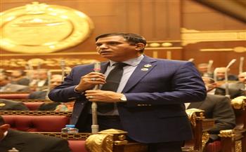 وكيل دفاع الشيوخ: العلاقات بين مصر وجيبوتي متميزة رسميا وشعبيا 