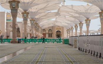 يحتوي على شرائح إلكترونية.. تغيير لون سجاد المسجد النبوي للأخضر (فيديو)