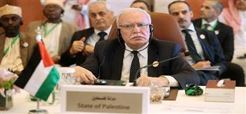 فلسطين: سنواصل السعي لفرض عقوبات دولية على إسرائيل
