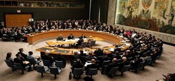 منسقة الأمم المتحدة تقدم تقريرًا لمجلس الأمن عن لبنان في 17 مارس الجاري