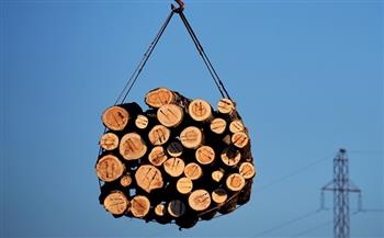 وزارة الصناعة والتجارة الروسية تدعو لحظر تصدير الأخشاب إلى الدول المعادية