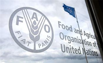 "الفاو" تتوقع ارتفاع أسعار المواد الغذائية من 8 إلى 20% بسبب أحداث أوكرانيا