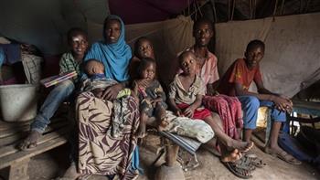 "مفوضية اللاجئين" تدعو لتوفير 157 مليون دولار كمساعدات لنحو 3 ملايين نازح صومالي