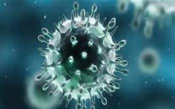 البرازيل تسجل 45020 إصابة و389 وفاة جديدة بفيروس كورونا 
