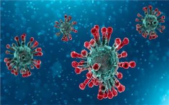الهند تسجل 2503 إصابات جديدة بفيروس كورونا