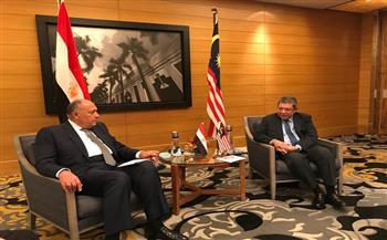 وزير الخارجية يبحث ملفات إقليمية ودولية مع‫ نظيره الماليزي
