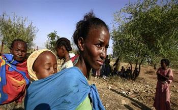 السودان: أكثر من 52 ألف لاجئ اثيوبي في ولاية القضارف