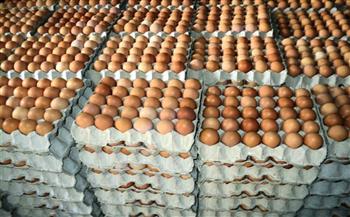 «تموين أسوان»: سعر كرتونة البيض انخفض إلى 55 جنيه