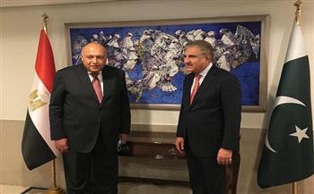 شكري يؤكد حرص مصر على دفع مجالات التعاون الثنائي مع باكستان على كل الأصعدة