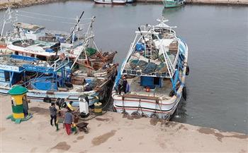 كفر الشيخ: توقف حركة الصيد بالبحر المتوسط لسوء الأحوال الجوية