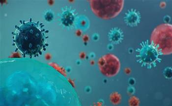 الإمارات تسجل 347 إصابة جديدة بفيروس كورونا