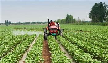 «الزراعة»: الدولة حريصة على زيادة إنتاجية المحاصيل
