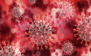 الإمارات تسجل 338 إصابة جديدة بفيروس كورونا 