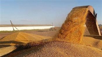 العراق: مخزون القمح يكفي لثلاثة أشهر