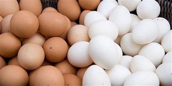 انخفاض طفيف بـ أسعار البيض اليوم الخميس 24-03-2022