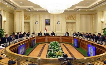 "معلومات الوزراء": مشروعات جديدة تدعمها مصر لمحوري الري وتقليل الهدر
