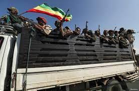 بعد أن واجهت ضغوطا دولية .. إثيوبيا تعلن هدنة في حربها ضد إقليم تيجراي