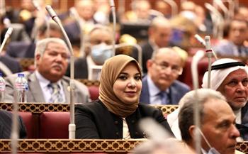 النائبة دينا هلالي: الدولة المصرية تولي اهتماما كبيرا بملف حقوق الإنسان