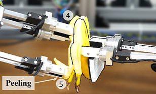 «بيقلد الإنسان».. تطوير روبوت لتقشير الموز (فيديو)