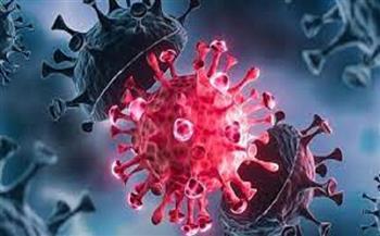 الأردن: اللجنة الوطنية لمكافحة الأوبئة تكشف أخر تطوات تفشي فيروس كورونا