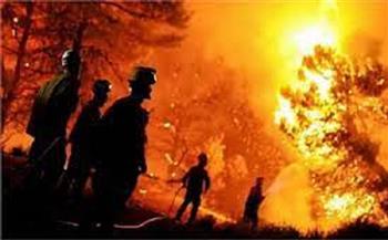 إجلاء أكثر من 19 ألف شخص بعد اندلاع حريق غابات فى ولاية كولورادو 