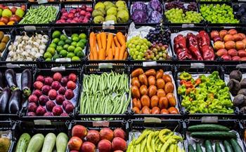 شعبة الخضراوات والفاكهة: مصر أكبر مصدر للمنتجات الزراعية في الشرق الأوسط