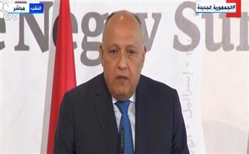 سامح شكري: موقف مصر ثابت بشأن القضية الفلسطينية