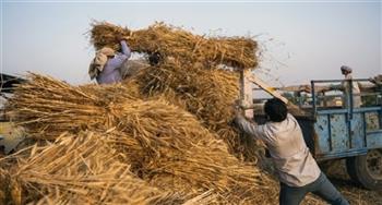 زيادة صادرات القمح الهندي تخفف أزمة نقص الإمدادات العالمية