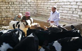 الزراعة: إطلاق 166 قافلة بيطرية مجانية لعلاج نحو 115 ألف حيوان