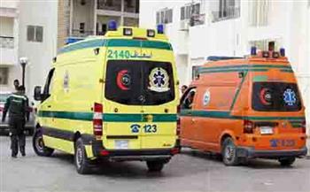 مصرع طفل واصابة 5 أشخاص في حادثي سير بكفر الشيخ