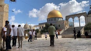 الأوقاف الفلسطينية: أكثر من 20 اقتحاماً للمسجد الأقصى في فبراير