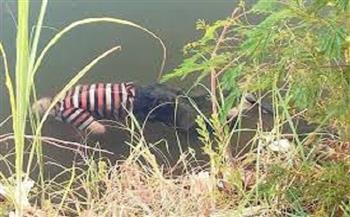 تفاصيل جديدة حول العثور على جثة شاب طافية في النيل بالصف