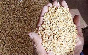 تراجع أسعار القمح والذرة الأمريكية بعد انتعاش الآمال في وقف القتال بأوكرانيا