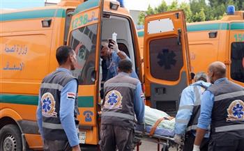 مصرع شخصين وإصابة 8 في حادث بمحور روض الفرج