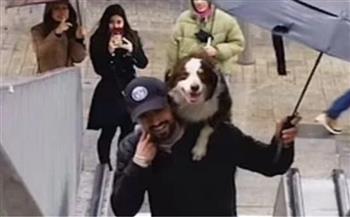 تصرف مؤثر من رجل مع كلبه يثير الإعجاب (فيديو)