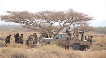 الإطاحة بخليتين إرهابيتين تابعتين للحوثي في الساحل الغربي اليمني
