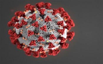 تسجيل 116 ألفا و889 إصابة جديدة بفيروس كورونا في ألمانيا
