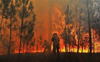 حرائق الغابات تجبر السكان على إخلاء 1100 منزل بولاية فلوريدا 