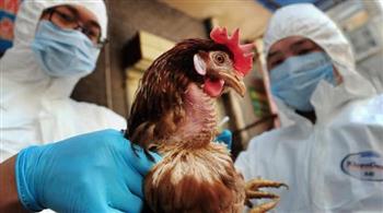 انتشار انفلونزا الطيور في منطقة "بلاد اللوار" وسط غرب فرنسا